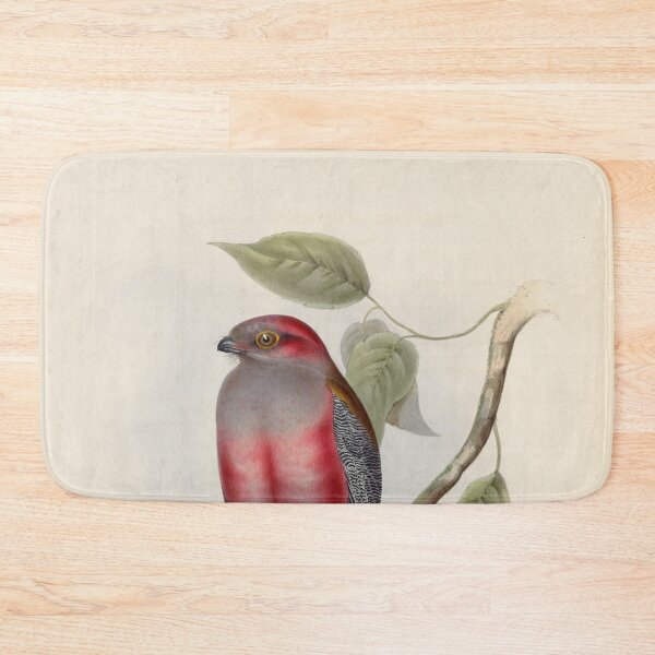 Item preview, A monograph of the Trogonidae or family of trogons John Gould 1838 V1 to V3 0102 Trogon Hodgsonii Hodgson's Trogon designed and sold by WetdryvacRB01.