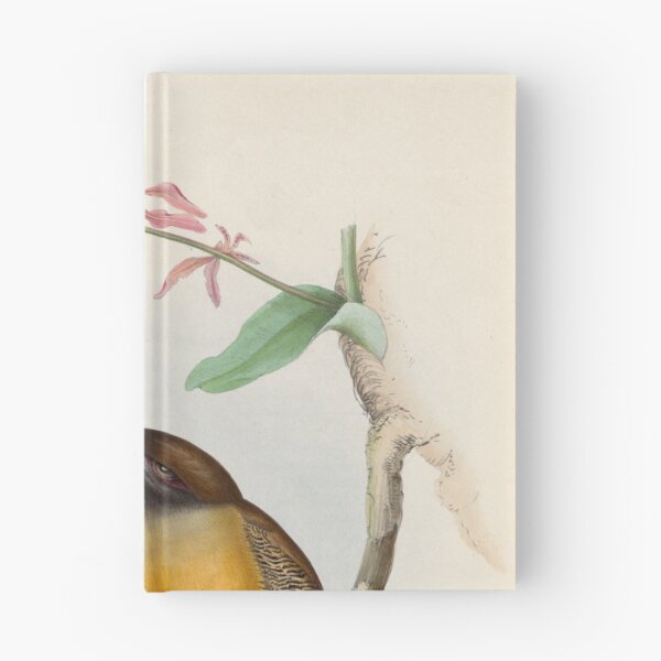 Item preview, A monograph of the Trogonidae or family of trogons John Gould 1838 V1 to V3 0104 Trogon ardens Rosy Breasted Trogon designed and sold by WetdryvacRB01.