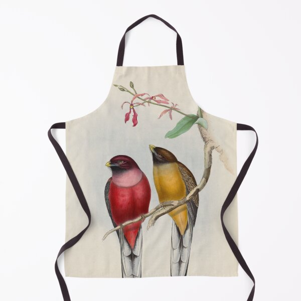 Item preview, A monograph of the Trogonidae or family of trogons John Gould 1838 V1 to V3 0104 Trogon ardens Rosy Breasted Trogon designed and sold by WetdryvacRB01.