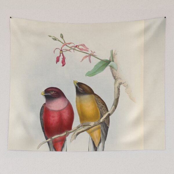 Item preview, A monograph of the Trogonidae or family of trogons John Gould 1838 V1 to V3 0104 Trogon ardens Rosy Breasted Trogon designed and sold by WetdryvacRB01.