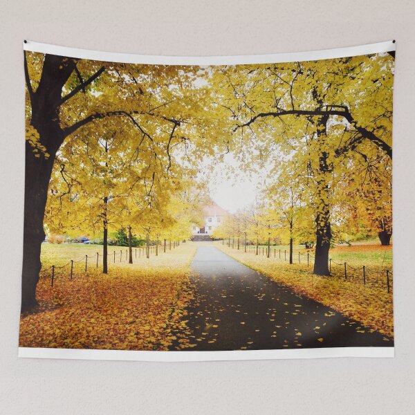 Item preview, Forest in Autumn during Halloween Season designed and sold by Happiness Creators.