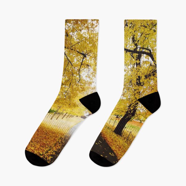 Item preview, Forest in Autumn during Halloween Season designed and sold by Happiness Creators.