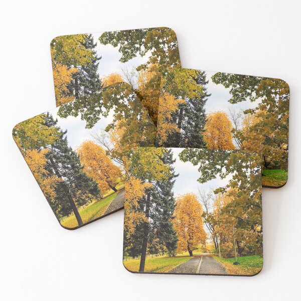 Item preview, Forest in autumn season in Norway during Halloween designed and sold by Happiness Creators.