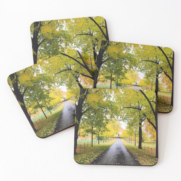 Item preview, Forest in Autumn during Halloween Season designed and sold by Happiness Creators.