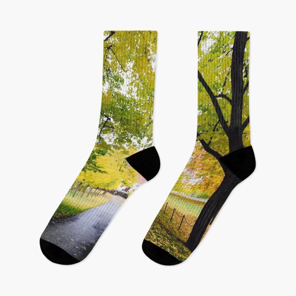 Item preview, Forest in Autumn season landscape view designed and sold by Happiness Creators.