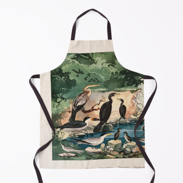 Item preview, Birds of the Amazon Album de aves amazonicas Emil Goldi 1906 003 Carara Mergulhoes Gaivotas Trinta reis Arirambas designed and sold by WetdryvacRB01.