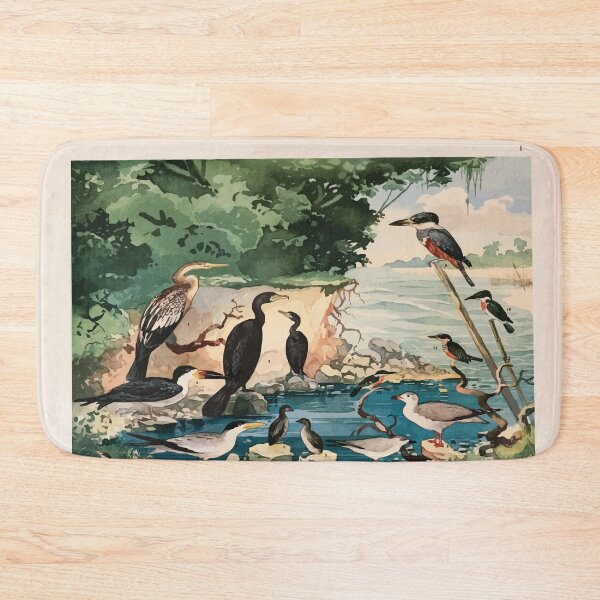 Item preview, Birds of the Amazon Album de aves amazonicas Emil Goldi 1906 003 Carara Mergulhoes Gaivotas Trinta reis Arirambas designed and sold by WetdryvacRB01.