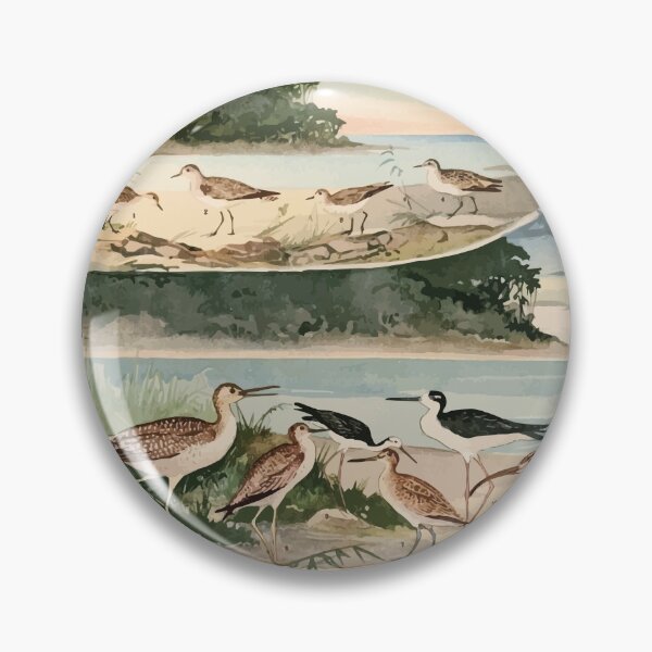 Item preview, Birds of the Amazon Album de aves amazonicas Emil Goldi 1906 004 Massaricos e Massaricoes designed and sold by WetdryvacRB01.