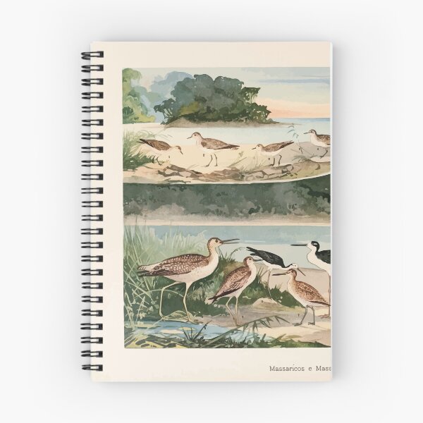 Item preview, Birds of the Amazon Album de aves amazonicas Emil Goldi 1906 004 Massaricos e Massaricoes designed and sold by WetdryvacRB01.