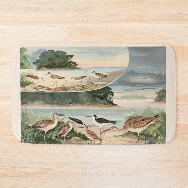 Item preview, Birds of the Amazon Album de aves amazonicas Emil Goldi 1906 004 Massaricos e Massaricoes designed and sold by WetdryvacRB01.