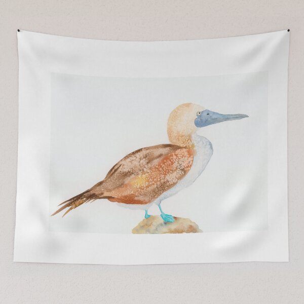 Item preview, Blue Footed Booby designed and sold by CHL  Art.