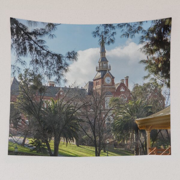 Item preview, View to Bendigo Girls School from Rosalind Park designed and sold by Steven Jodoin.