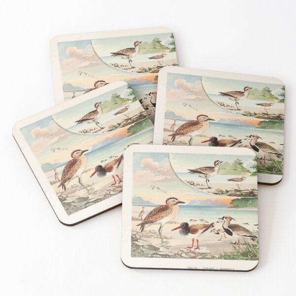 Item preview, Birds of the Amazon Album de aves amazonicas Emil Goldi 1906 005 Teu Teu Piru Piru Massaricos designed and sold by WetdryvacRB01.