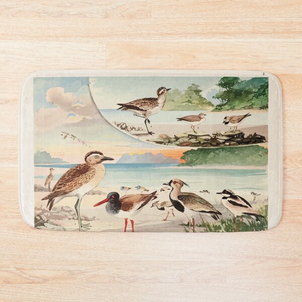 Item preview, Birds of the Amazon Album de aves amazonicas Emil Goldi 1906 005 Teu Teu Piru Piru Massaricos designed and sold by WetdryvacRB01.