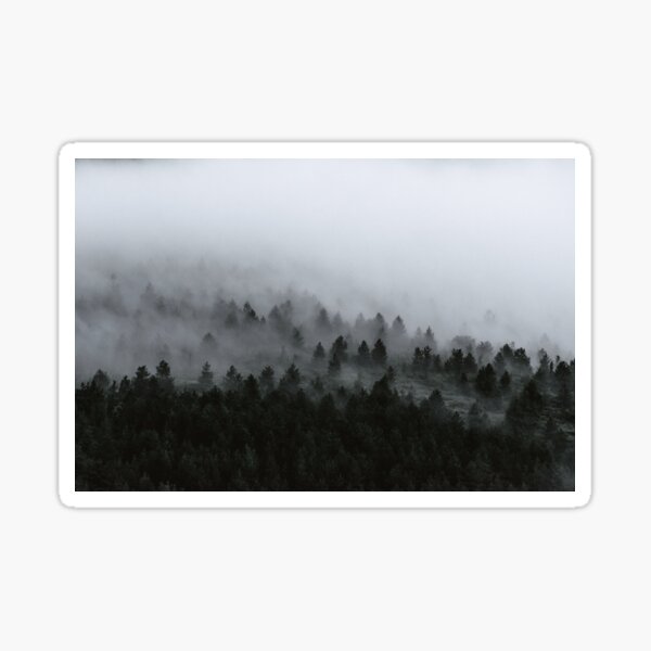 Forest Fog Sticker