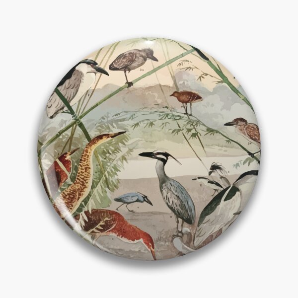 Item preview, Birds of the Amazon Album de aves amazonicas Emil Goldi 1906 006 Socos Arapapa Taqiry Soco boi designed and sold by WetdryvacRB01.