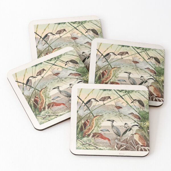 Item preview, Birds of the Amazon Album de aves amazonicas Emil Goldi 1906 006 Socos Arapapa Taqiry Soco boi designed and sold by WetdryvacRB01.