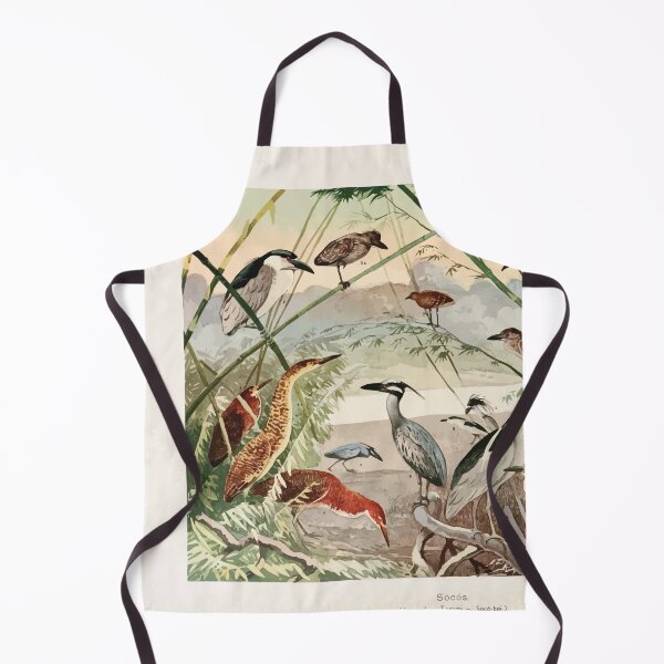 Item preview, Birds of the Amazon Album de aves amazonicas Emil Goldi 1906 006 Socos Arapapa Taqiry Soco boi designed and sold by WetdryvacRB01.
