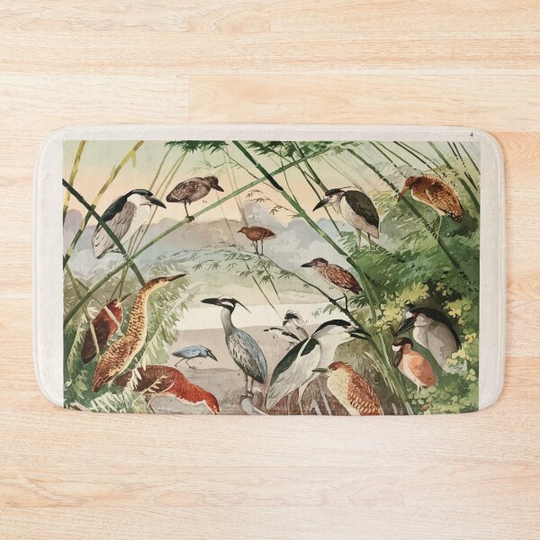 Item preview, Birds of the Amazon Album de aves amazonicas Emil Goldi 1906 006 Socos Arapapa Taqiry Soco boi designed and sold by WetdryvacRB01.
