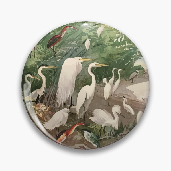 Item preview, Birds of the Amazon Album de aves amazonicas Emil Goldi 1906 007 Garcas designed and sold by WetdryvacRB01.