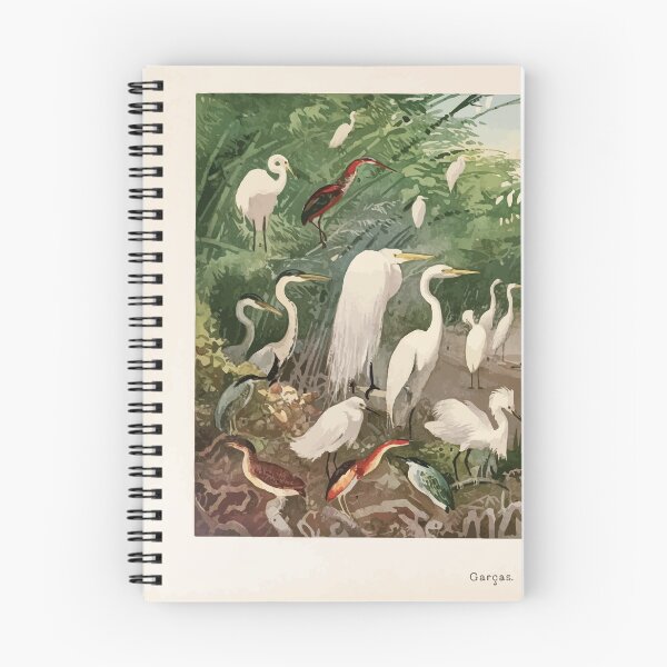Item preview, Birds of the Amazon Album de aves amazonicas Emil Goldi 1906 007 Garcas designed and sold by WetdryvacRB01.
