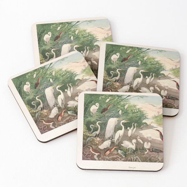 Item preview, Birds of the Amazon Album de aves amazonicas Emil Goldi 1906 007 Garcas designed and sold by WetdryvacRB01.
