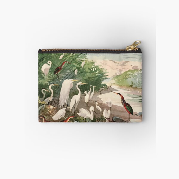 Item preview, Birds of the Amazon Album de aves amazonicas Emil Goldi 1906 007 Garcas designed and sold by WetdryvacRB01.