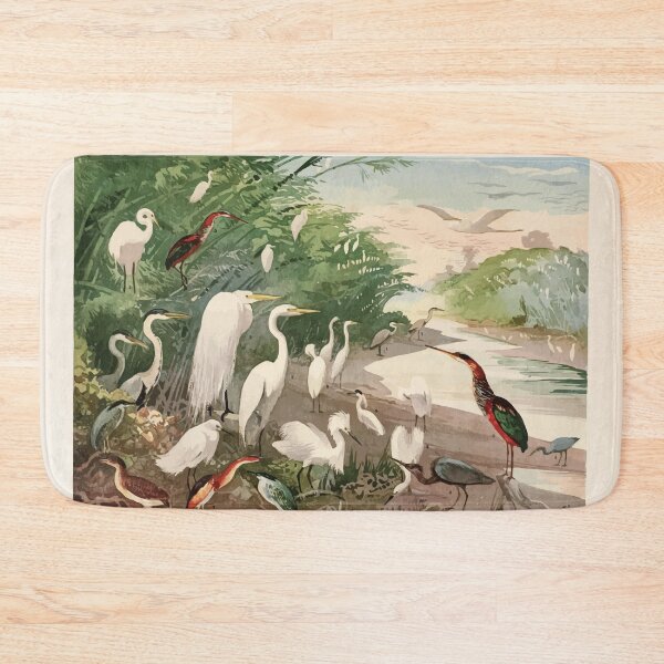 Item preview, Birds of the Amazon Album de aves amazonicas Emil Goldi 1906 007 Garcas designed and sold by WetdryvacRB01.