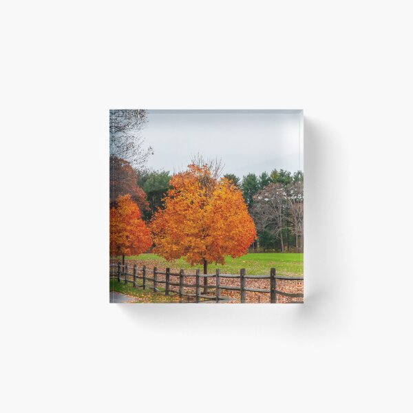 Item preview, Fence Line designed and sold by Ruth Curtis.
