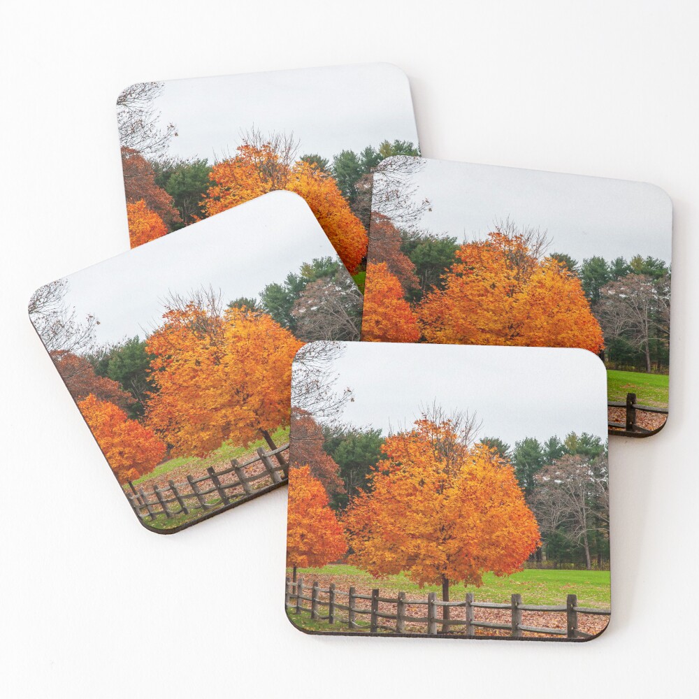 Item preview, Coasters (Set of 4) designed and sold by Ruthie33.