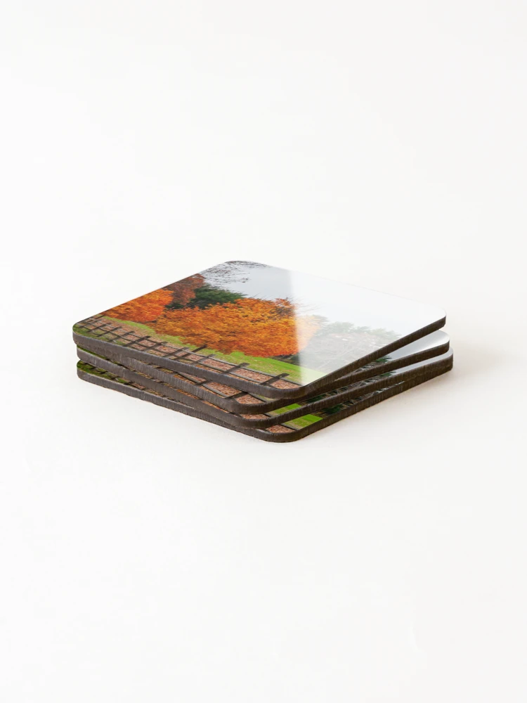 Thumbnail 4 of 5, Coasters (Set of 4), Fence Line designed and sold by Ruth Curtis.