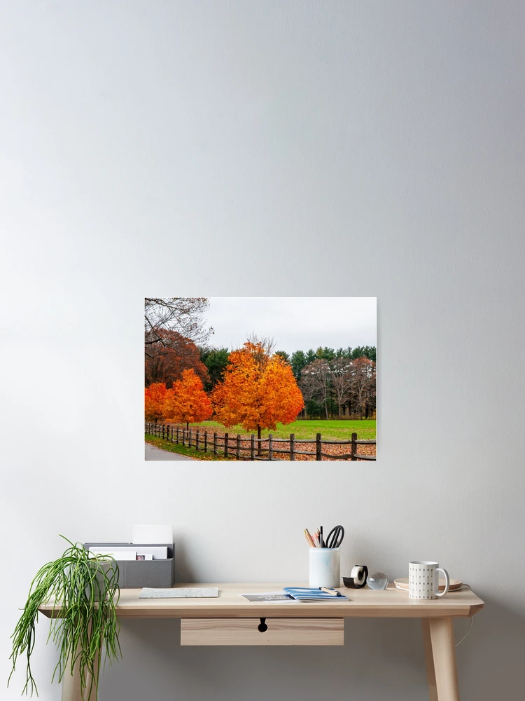 Thumbnail 2 of 3, Poster, Fence Line designed and sold by Ruth Curtis.