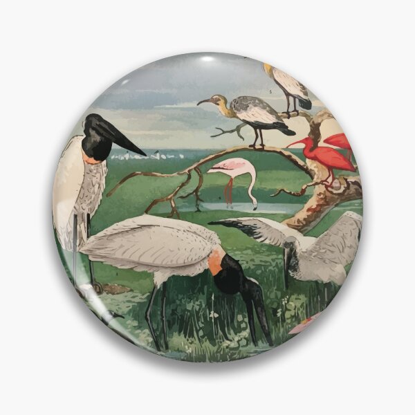 Item preview, Birds of the Amazon Album de aves amazonicas Emil Goldi 1906 008 Cegonhas Guaras Colhereira designed and sold by WetdryvacRB01.