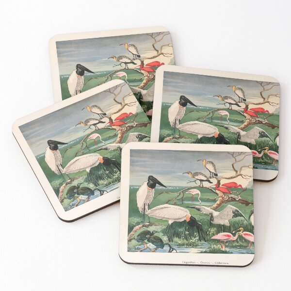 Item preview, Birds of the Amazon Album de aves amazonicas Emil Goldi 1906 008 Cegonhas Guaras Colhereira designed and sold by WetdryvacRB01.