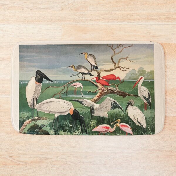 Item preview, Birds of the Amazon Album de aves amazonicas Emil Goldi 1906 008 Cegonhas Guaras Colhereira designed and sold by WetdryvacRB01.