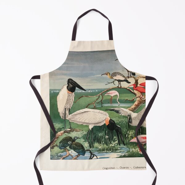 Item preview, Birds of the Amazon Album de aves amazonicas Emil Goldi 1906 008 Cegonhas Guaras Colhereira designed and sold by WetdryvacRB01.
