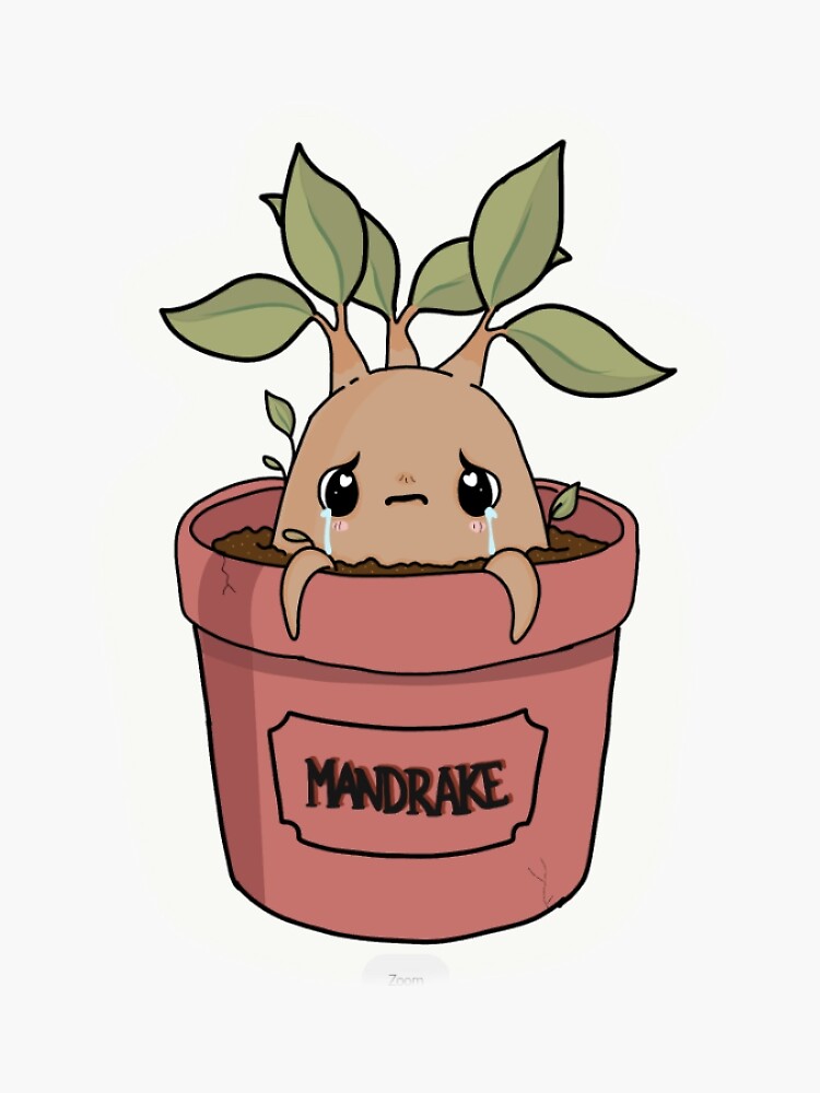 Bebê mandrake, Loja Online