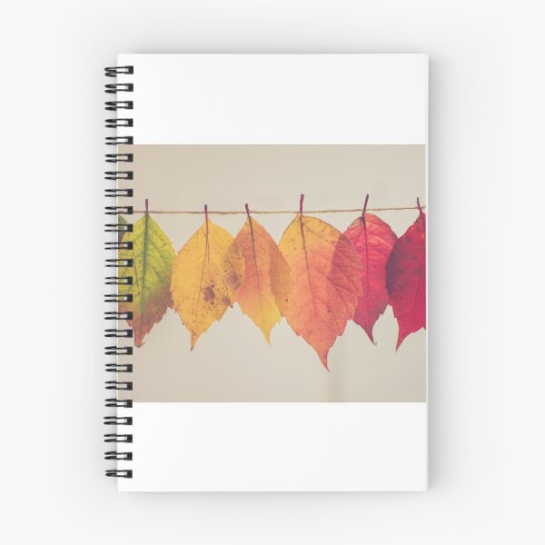 Item preview, Colorful Autumn Leaves designed and sold by sandeep budaraju.