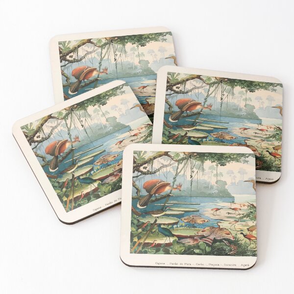 Item preview, Birds of the Amazon Album de aves amazonicas Emil Goldi 1906 009 Cigna Pavo do Para Carao Piacoca Saracura Acana Ipequy designed and sold by WetdryvacRB01.