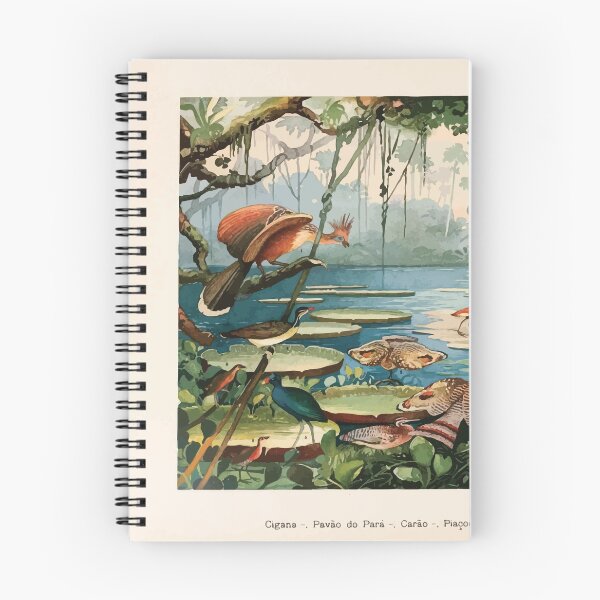 Item preview, Birds of the Amazon Album de aves amazonicas Emil Goldi 1906 009 Cigna Pavo do Para Carao Piacoca Saracura Acana Ipequy designed and sold by WetdryvacRB01.