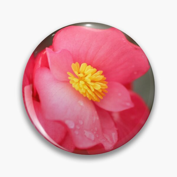 Item preview, Begonia belleza designed and sold by Sandi Walmsley.
