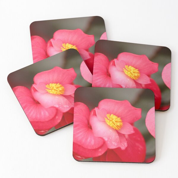 Item preview, Begonia beauty designed and sold by Sandi Walmsley.