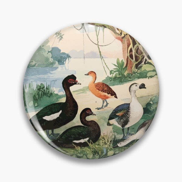 Item preview, Birds of the Amazon Album de aves amazonicas Emil Goldi 1906 010 Marrecao Patos Marrecas designed and sold by WetdryvacRB01.