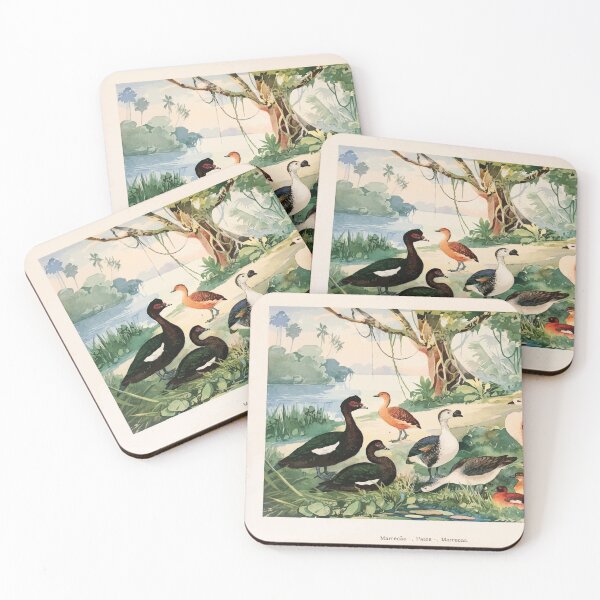 Item preview, Birds of the Amazon Album de aves amazonicas Emil Goldi 1906 010 Marrecao Patos Marrecas designed and sold by WetdryvacRB01.