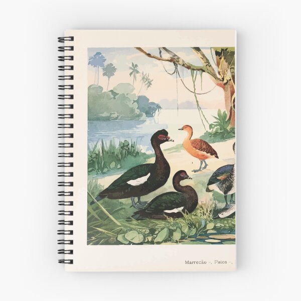 Item preview, Birds of the Amazon Album de aves amazonicas Emil Goldi 1906 010 Marrecao Patos Marrecas designed and sold by WetdryvacRB01.