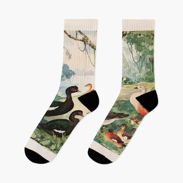 Item preview, Birds of the Amazon Album de aves amazonicas Emil Goldi 1906 010 Marrecao Patos Marrecas designed and sold by WetdryvacRB01.