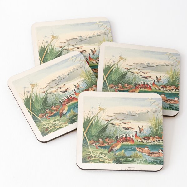Item preview, Birds of the Amazon Album de aves amazonicas Emil Goldi 1906 011 Marrecas Apahy de Marajo Annahy Toicinho designed and sold by WetdryvacRB01.