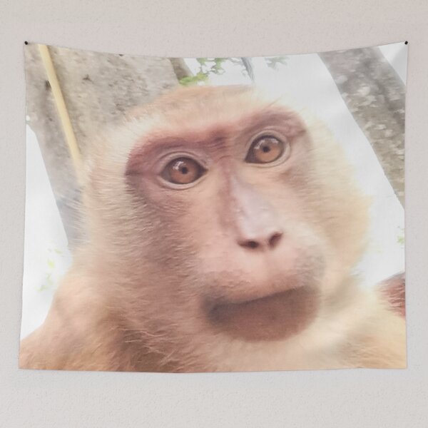 Item preview, Macaque designed and sold by OMdesigns93.