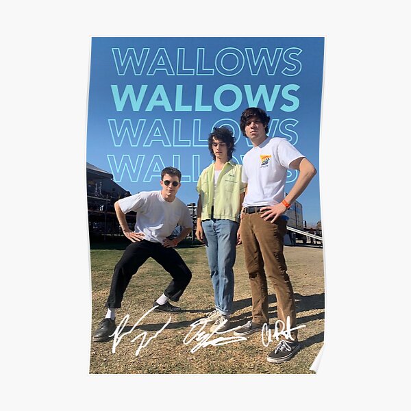 Wallows poster Poster