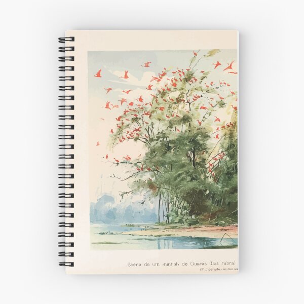 Item preview, Birds of the Amazon Album de aves amazonicas Emil Goldi 1906 012 Costa Atlantica da Ilha de Marajo designed and sold by WetdryvacRB01.
